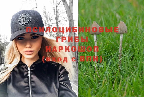 стаф Абинск