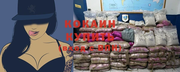 стаф Абинск