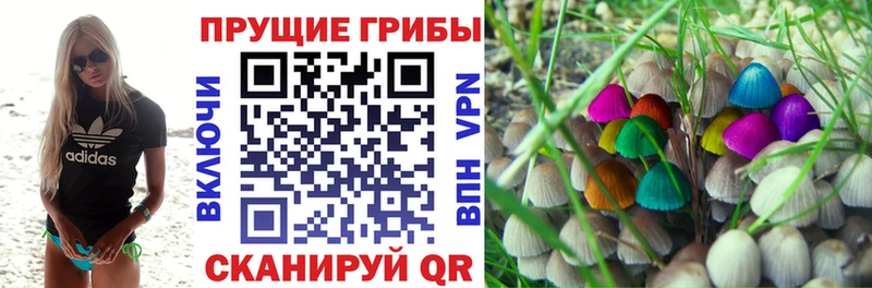 Галлюциногенные грибы мицелий  где купить наркоту  Хилок 